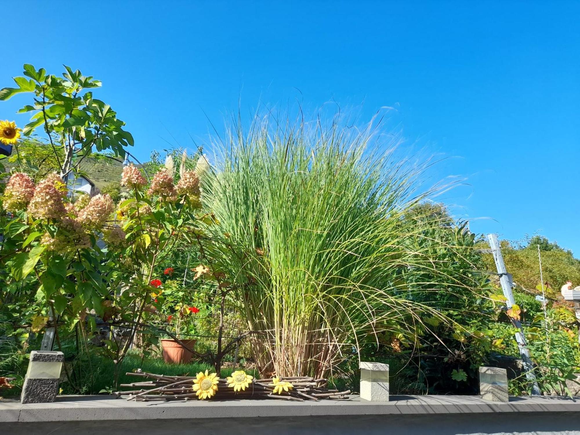 Ferienhaus Heimes คล็อตเทน ภายนอก รูปภาพ
