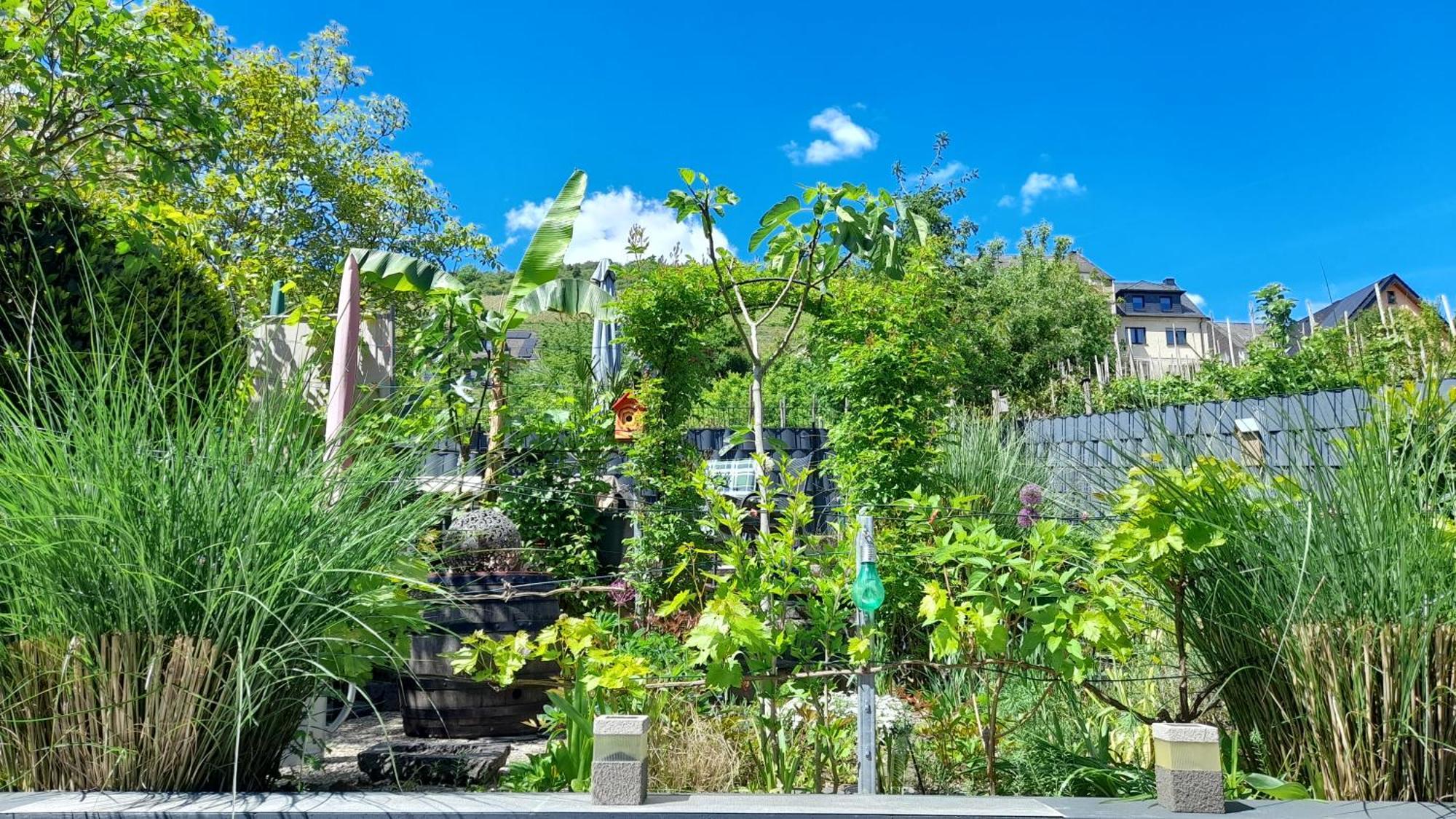 Ferienhaus Heimes คล็อตเทน ภายนอก รูปภาพ