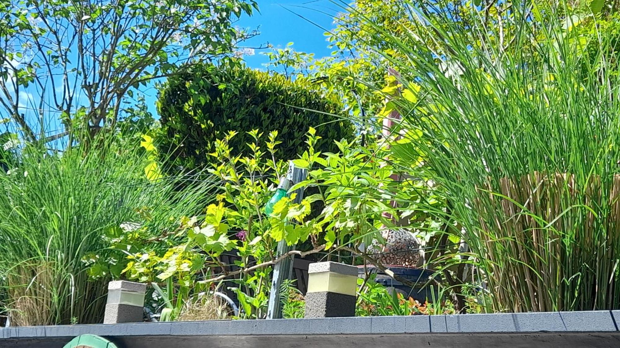 Ferienhaus Heimes คล็อตเทน ภายนอก รูปภาพ